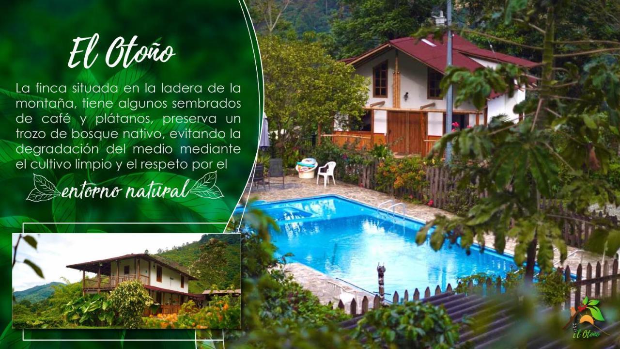 Finca Tradicional El Otono Pijao Exteriör bild