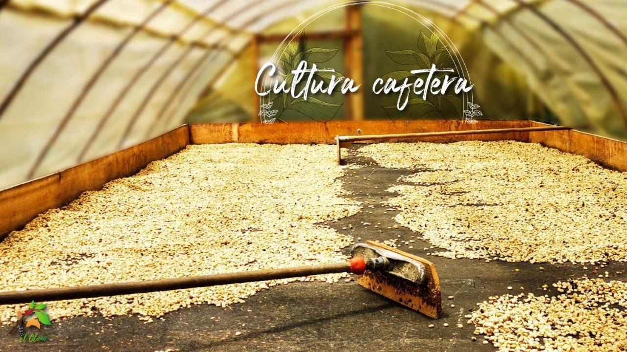 Finca Tradicional El Otono Pijao Exteriör bild