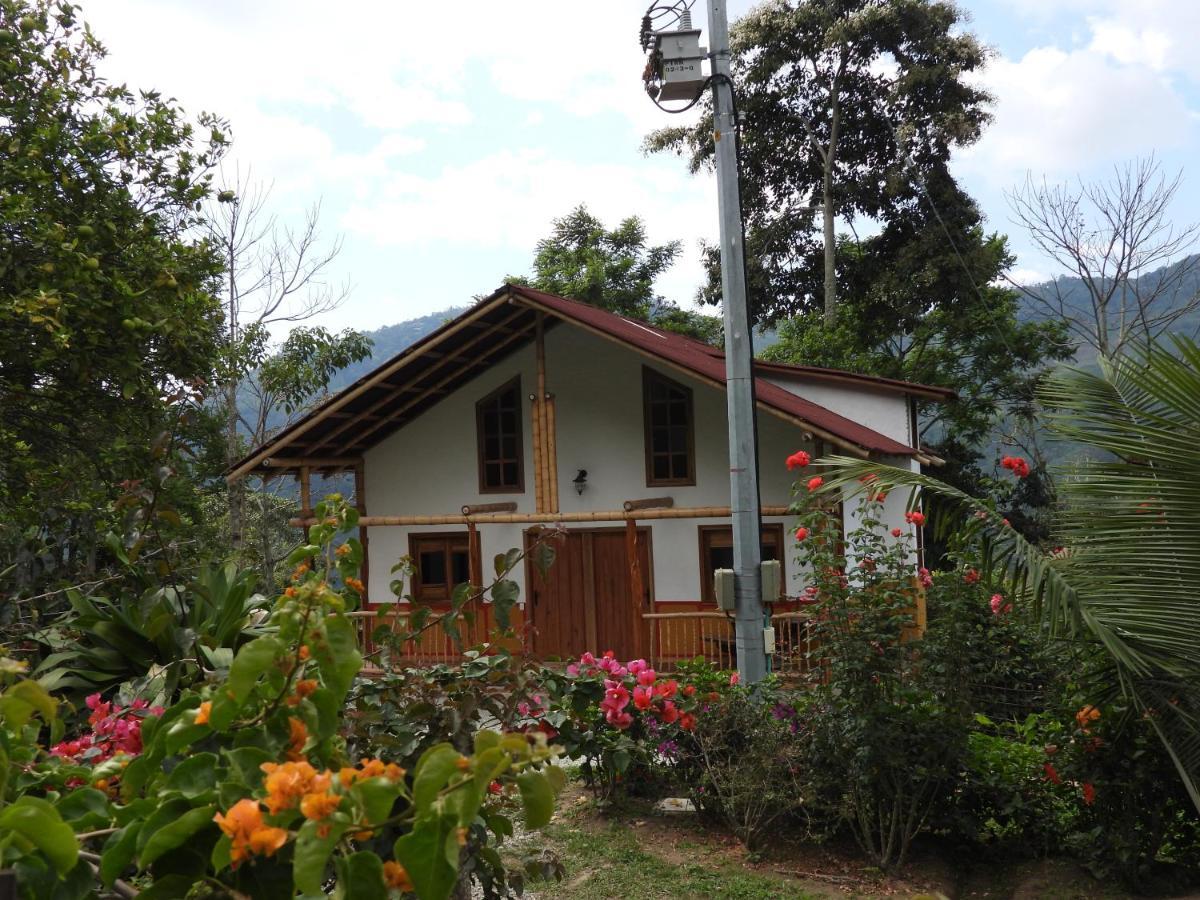 Finca Tradicional El Otono Pijao Exteriör bild