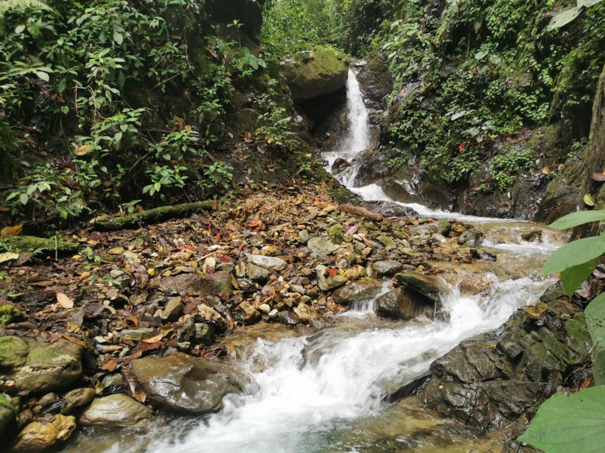 Finca Tradicional El Otono Pijao Exteriör bild
