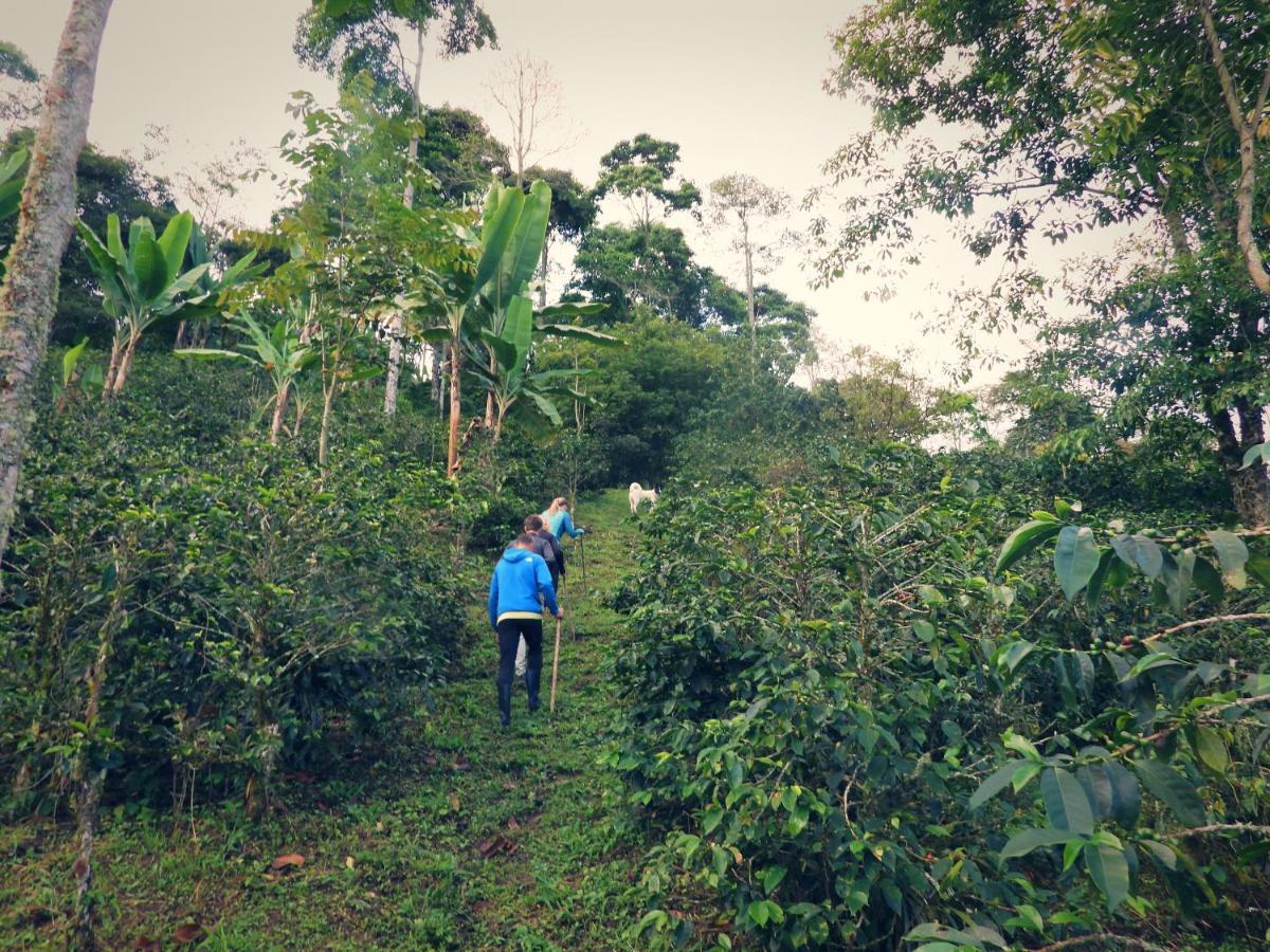 Finca Tradicional El Otono Pijao Exteriör bild