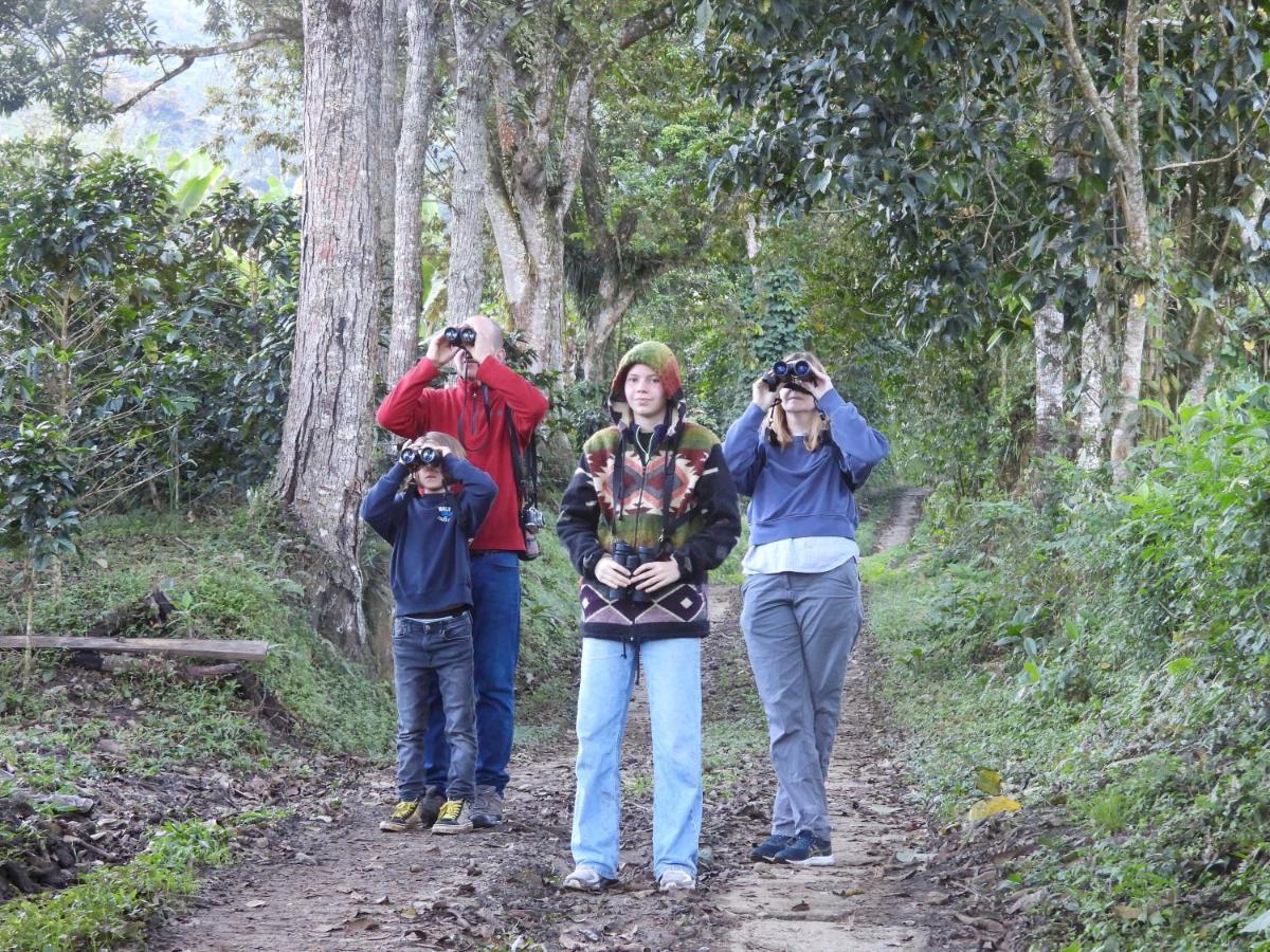 Finca Tradicional El Otono Pijao Exteriör bild