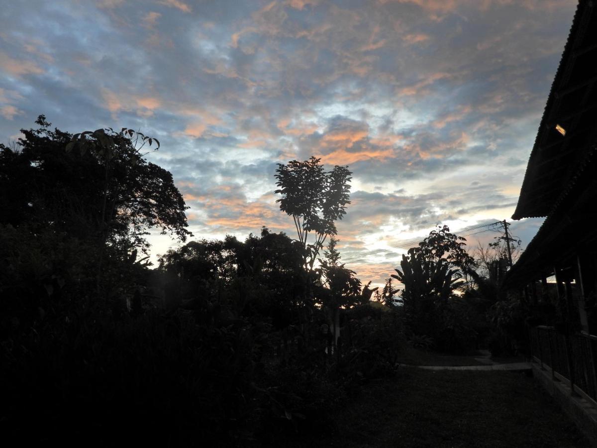 Finca Tradicional El Otono Pijao Exteriör bild